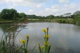 Coarse and trout fishing lakes at Florence Springs Luxury Lodges, Tenby, Pembrokeshire, South West Wales