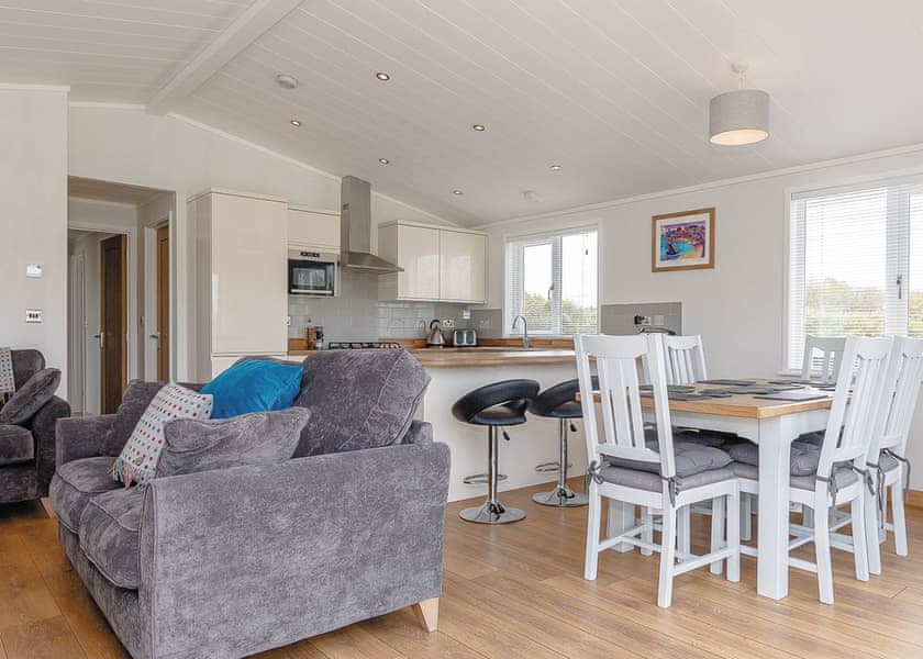 Willow Lodge living area - Florence Springs Luxury Lodges, Tenby, Pembrokeshire, South West Wales
